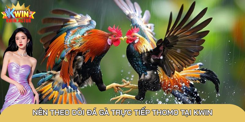 Tham gia đá gà có 3 cửa cược cho bạn lựa chọn
